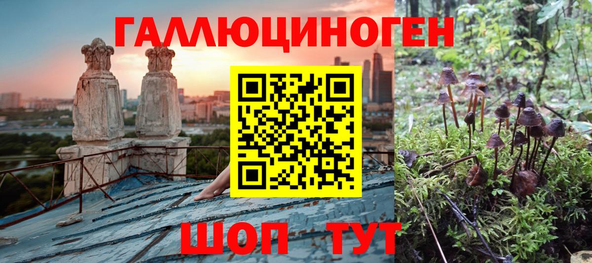 Псилоцибиновые грибы прущие грибы  Вход с VPN  продажа наркотиков  Галлюциногенные грибы мухоморы  Томск 
