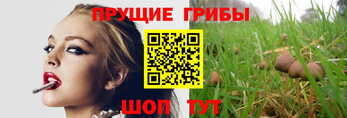 Галлюциногенные грибы мухоморы Томск